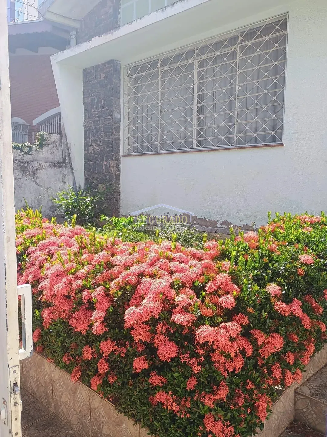 Casa, 2 quartos, 288 m² - Foto 1