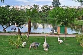 Casa para alugar com 3 quartos, 397m² - Foto 20