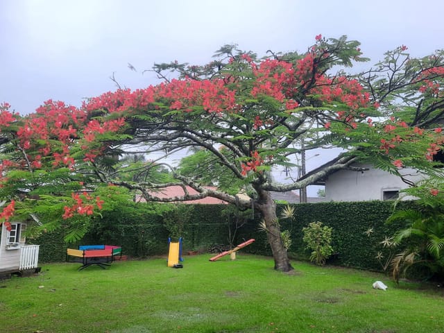 Casa com 438m² 4 quartos e 2 banheiros, à venda, no bairro Praia Alegre em Penha