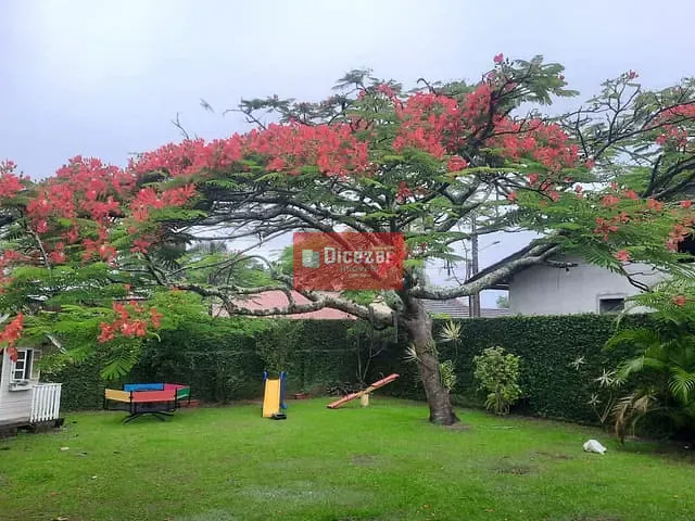 Casa com 438m² 4 quartos e 2 banheiros, à venda, no bairro Praia Alegre em Penha