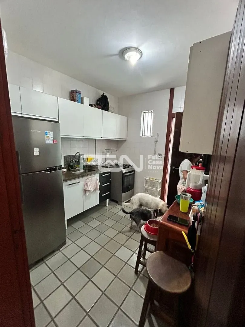 Casa, 6 quartos, 500 m² - Foto 6