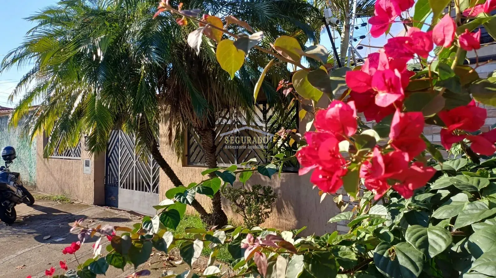 Casa, 4 quartos, 350 m² - Foto 1