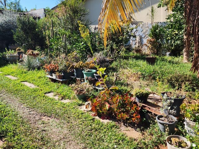 Foto do Casa - Casa à venda, Jardim Santa Amália, Campinas, SP | Imobiliária Santa Luzia