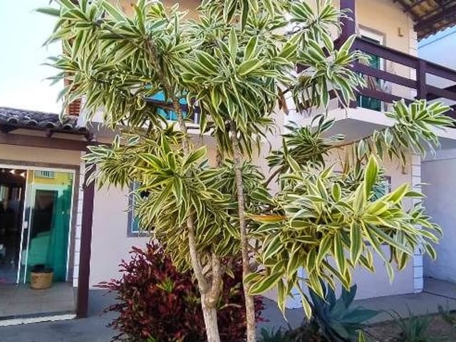 Casa com 450m² 5 quartos e 2 banheiros, à venda, no bairro Praia do Foguete em Cabo Frio