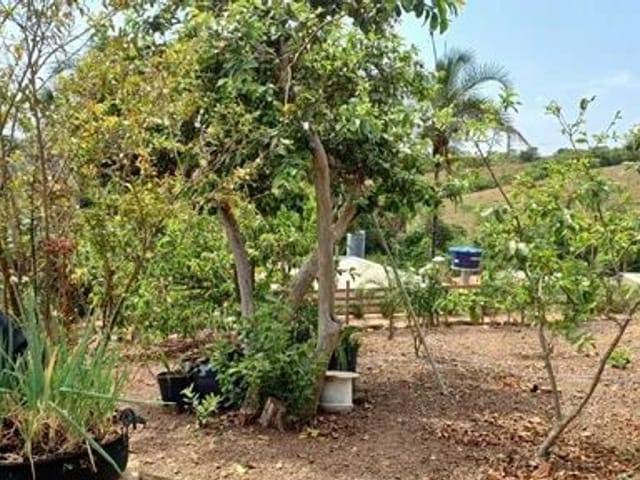 Casa com 1000m² 4 quartos e 4 banheiros, à venda, no bairro Zona Rural em Abadiânia