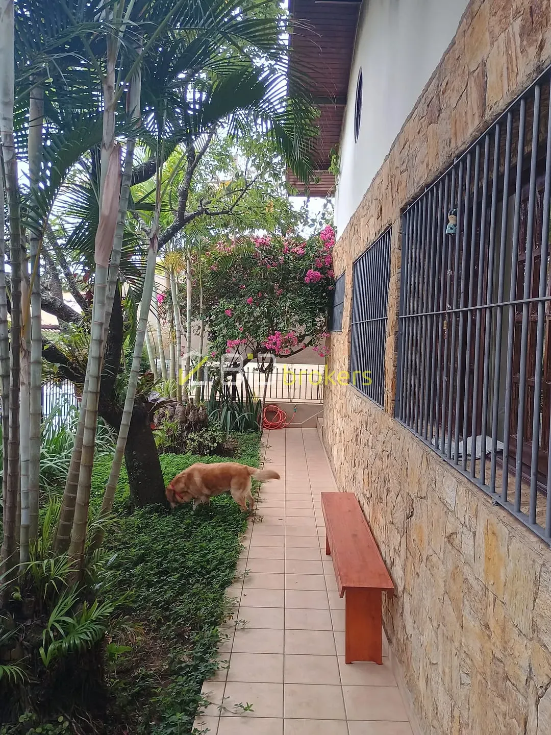 Casa, 5 quartos, 223 m² - Foto 32
