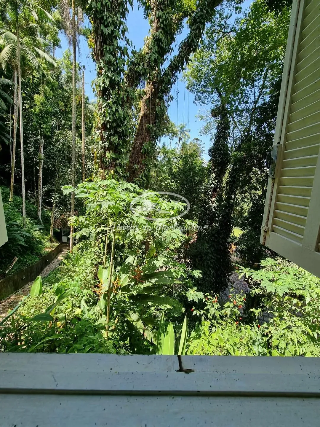 Casa, 6 quartos, 485 m² - Foto 28