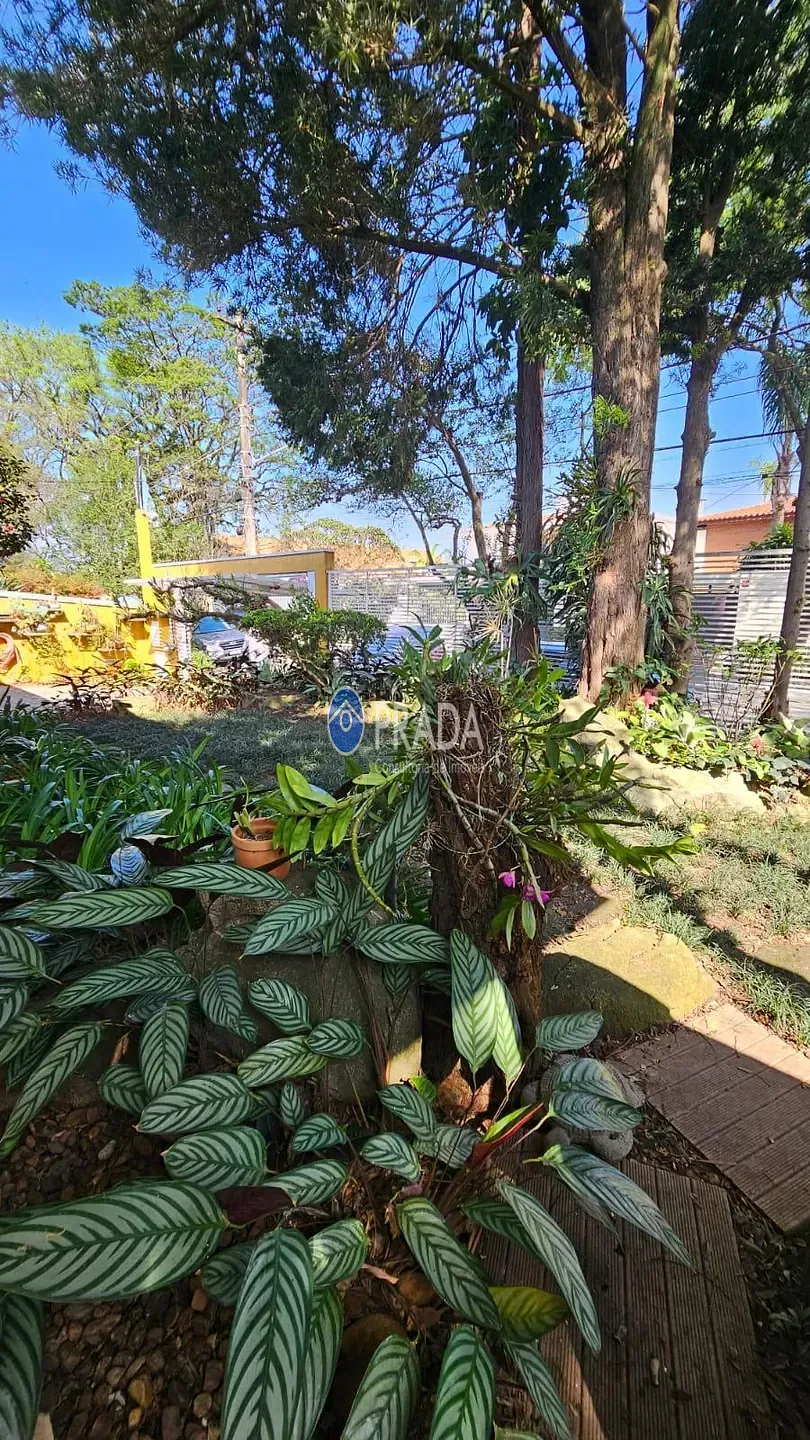 Casa, 4 quartos, 244 m² - Foto 17