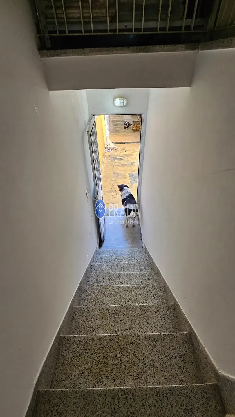 Casa, 4 quartos, 244 m² - Foto 32