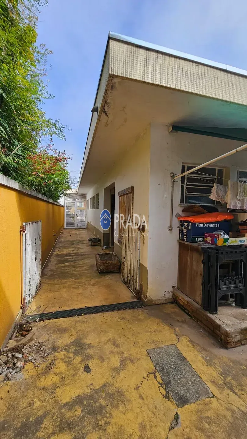 Casa, 4 quartos, 244 m² - Foto 44