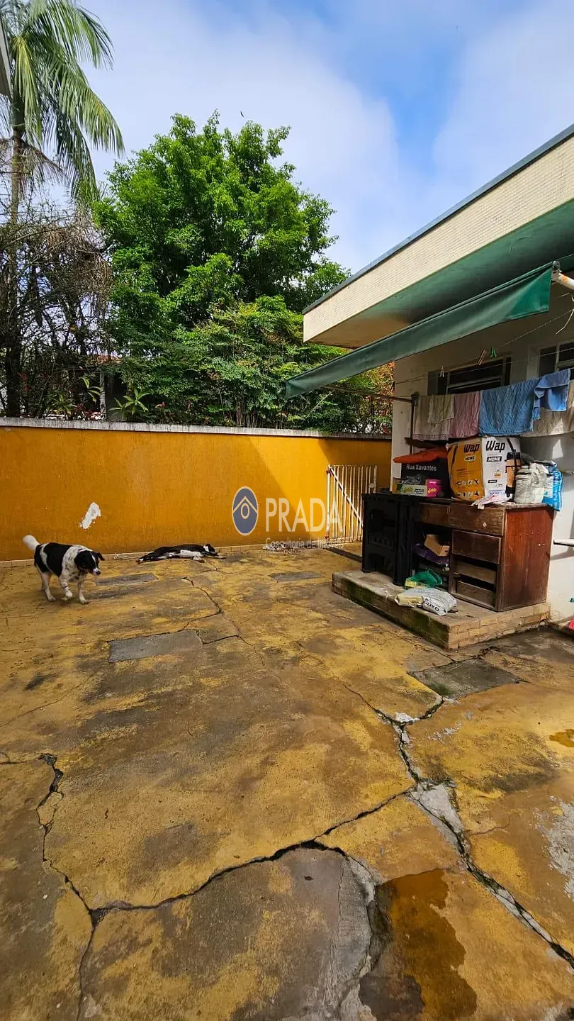 Casa, 4 quartos, 244 m² - Foto 45
