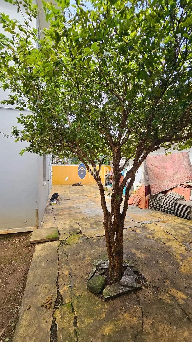 Casa, 4 quartos, 244 m² - Foto 48