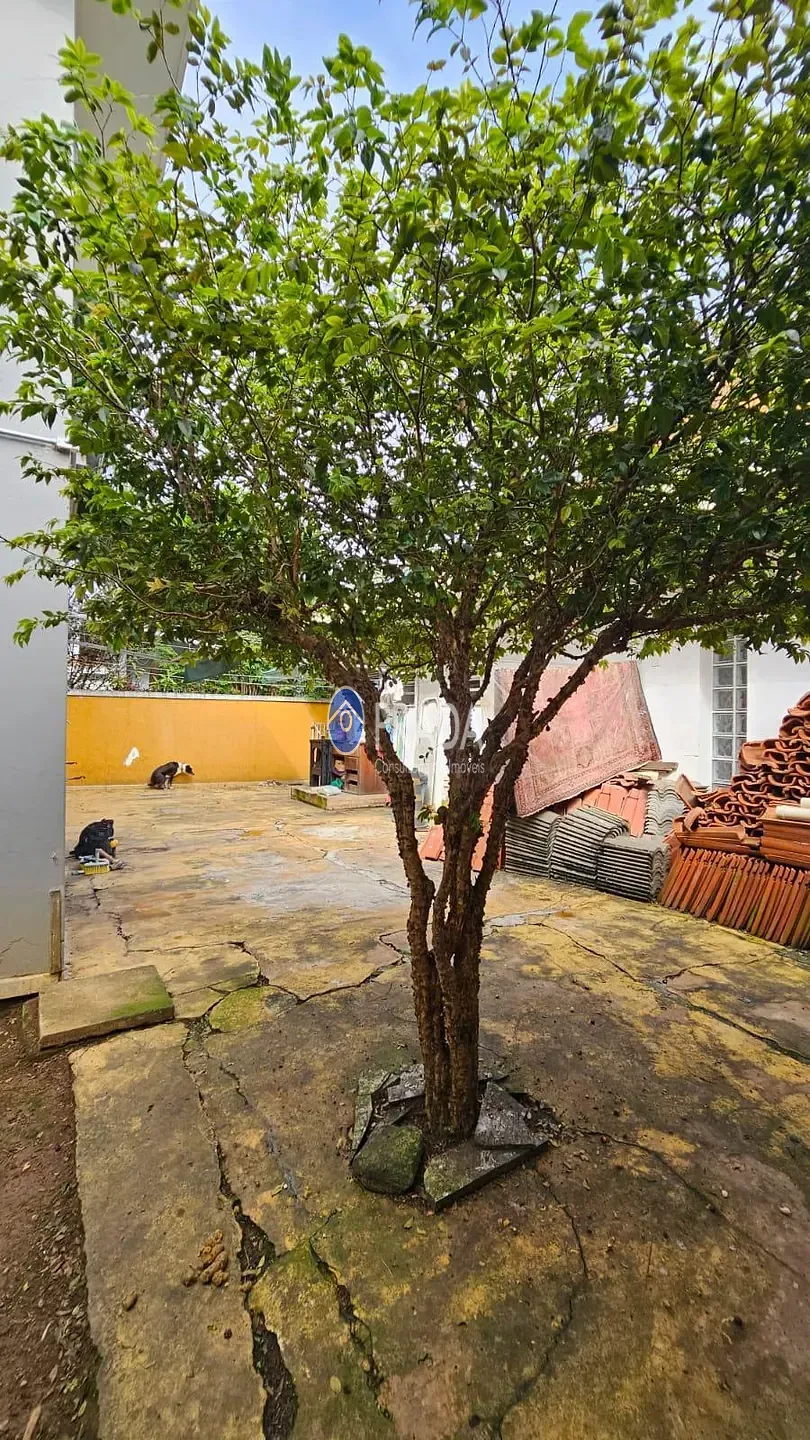 Casa, 4 quartos, 244 m² - Foto 50