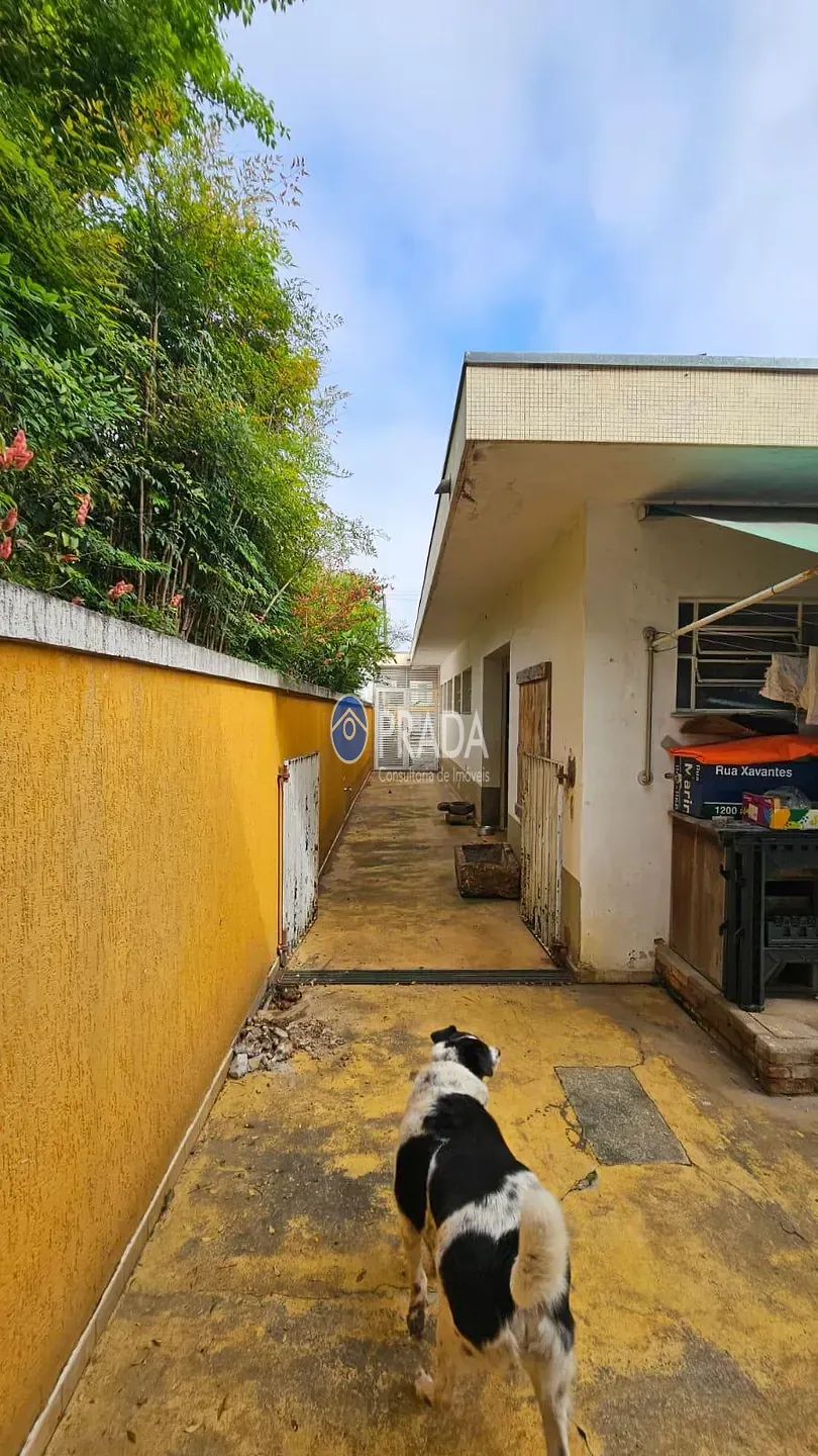 Casa, 4 quartos, 244 m² - Foto 51