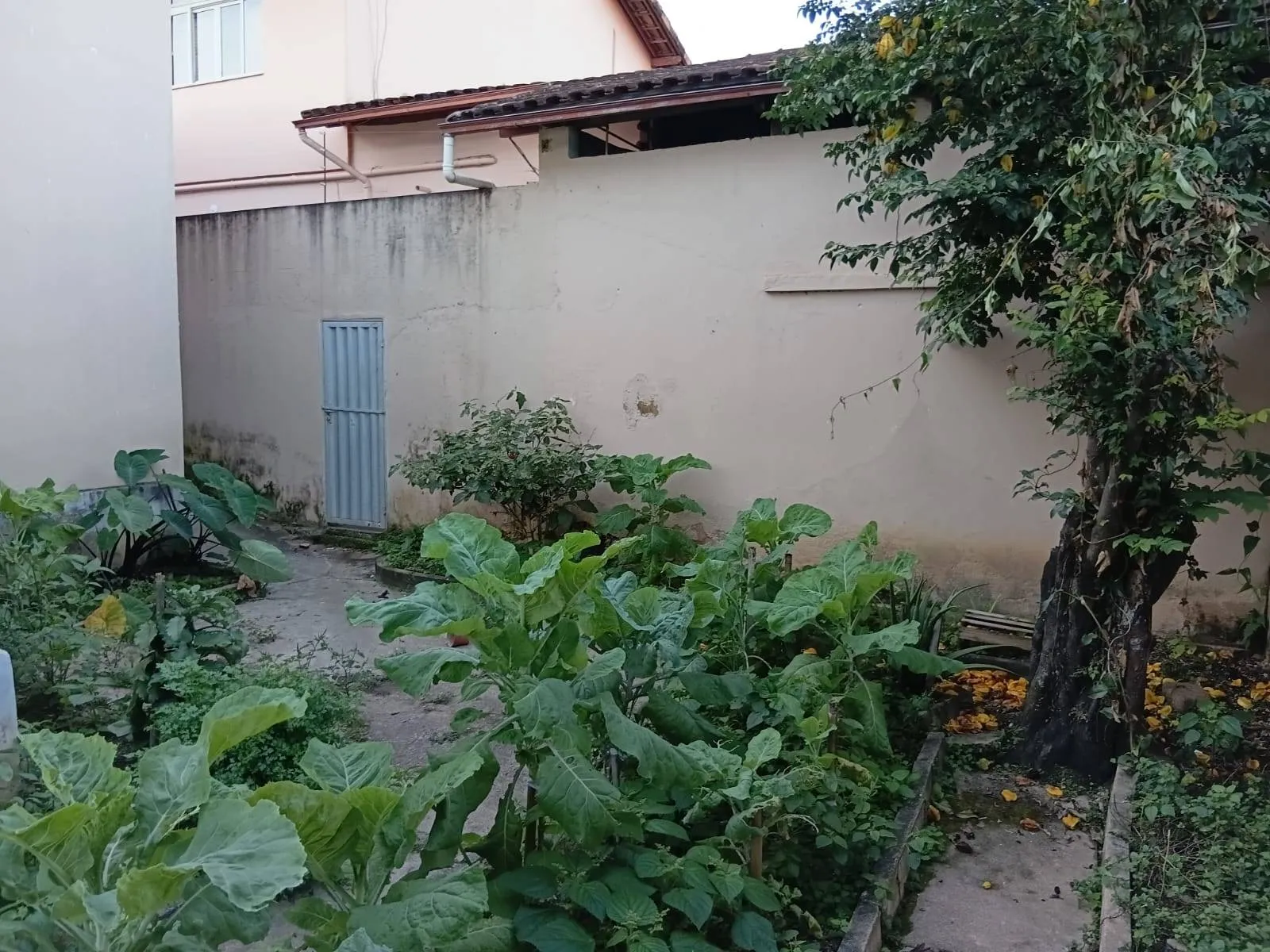 Casa à venda e locação 2 Quartos, 1 Vaga, 107.96M², Rua Cel. Antônio Pedro, N° 310, Centro, RIO POMBA - MG - foto 17