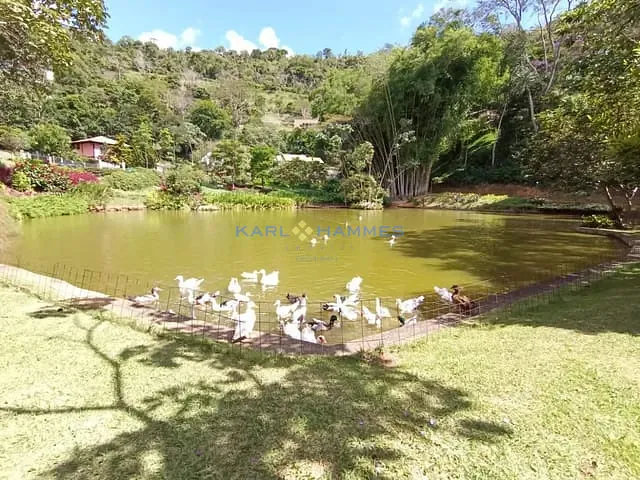 Casa com 425330m² 3 quartos e 5 banheiros, à venda, no bairro Pedro do Rio em Petrópolis