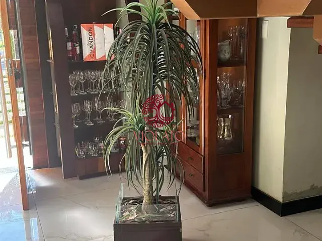 Casa com 1000m² 5 quartos e 5 banheiros, para alugar, no bairro Jardim do Campinho em Lagoa Santa