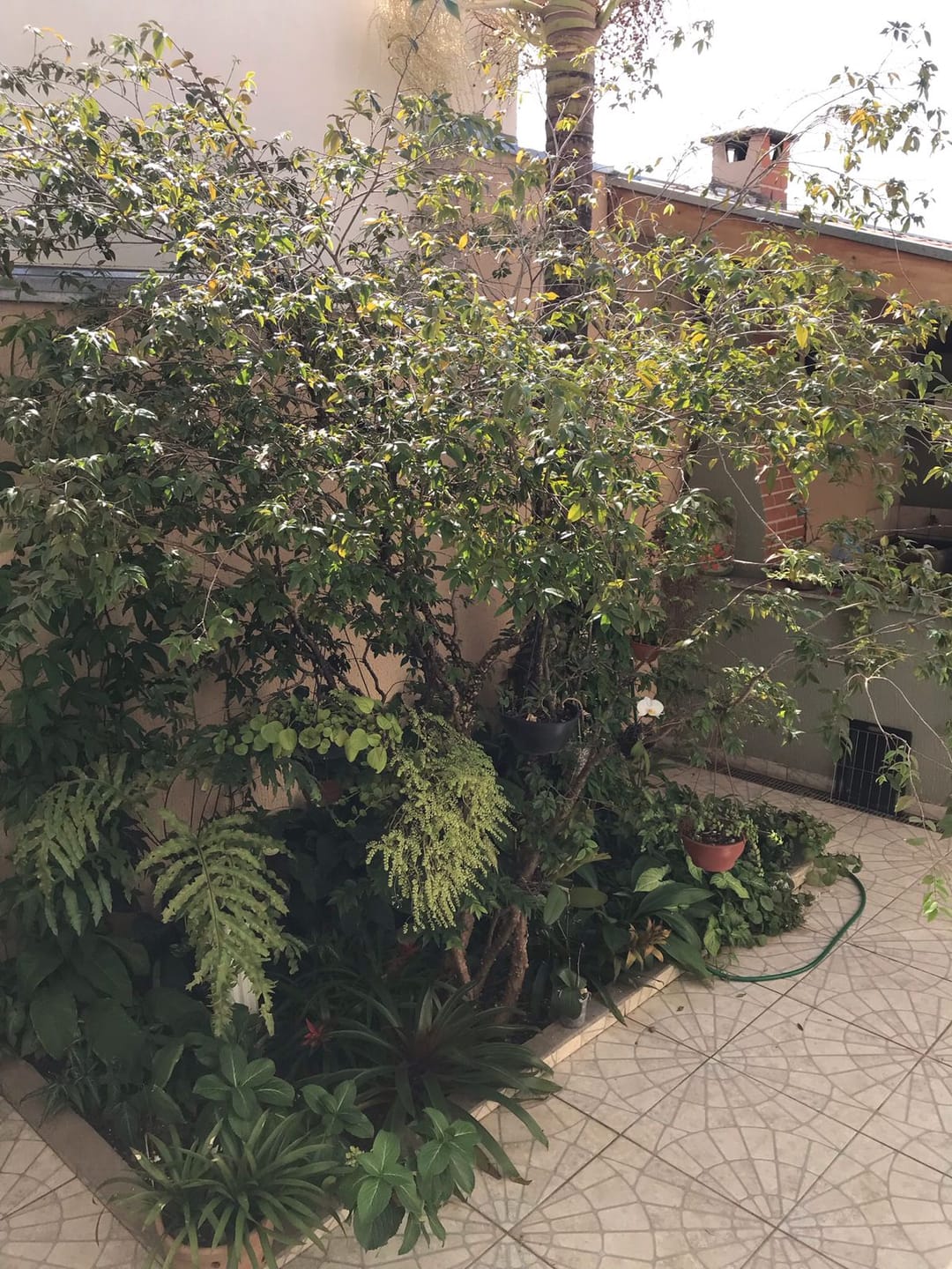 Casa, 2 quartos, 90 m² - Foto 7