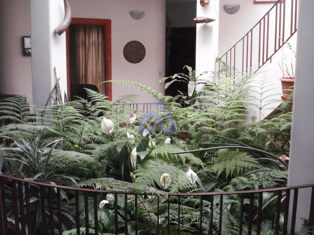 Casa, 4 quartos, 450 m² - Foto 7