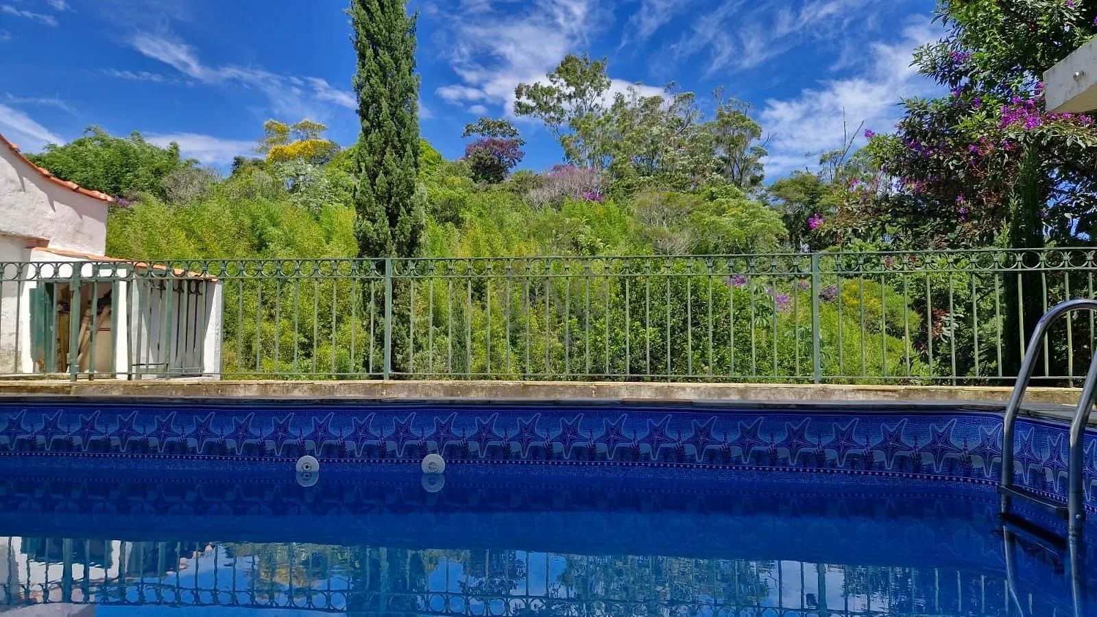 Casa, 5 quartos, 356 m² - Foto 11