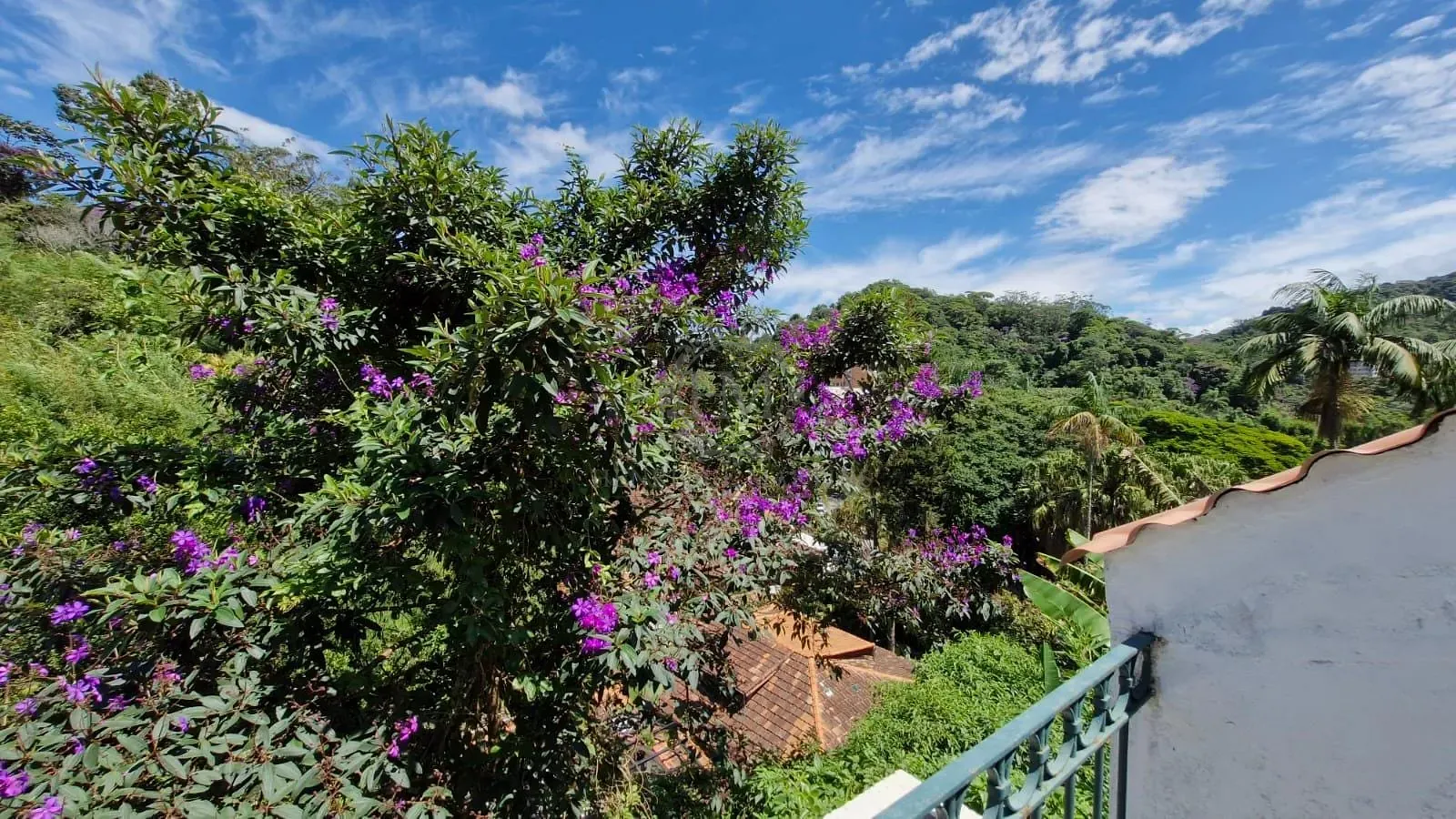 Casa, 5 quartos, 356 m² - Foto 16