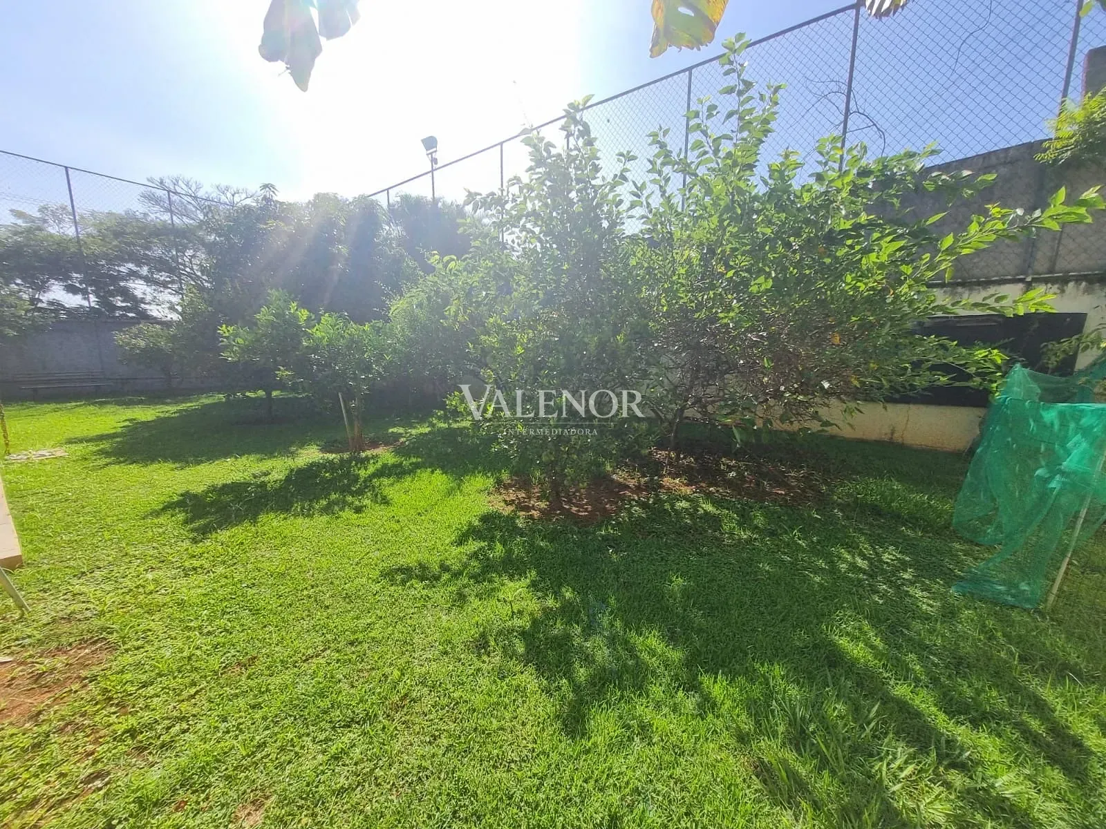 Casa, 3 quartos, 1000 m² - Foto 15