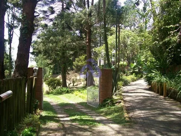 Casa, 4 quartos, 10 m² - Foto 4
