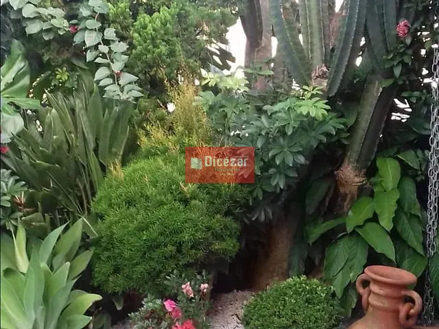 Casa com 324m² 4 quartos e 2 banheiros, à venda, no bairro centro em Penha