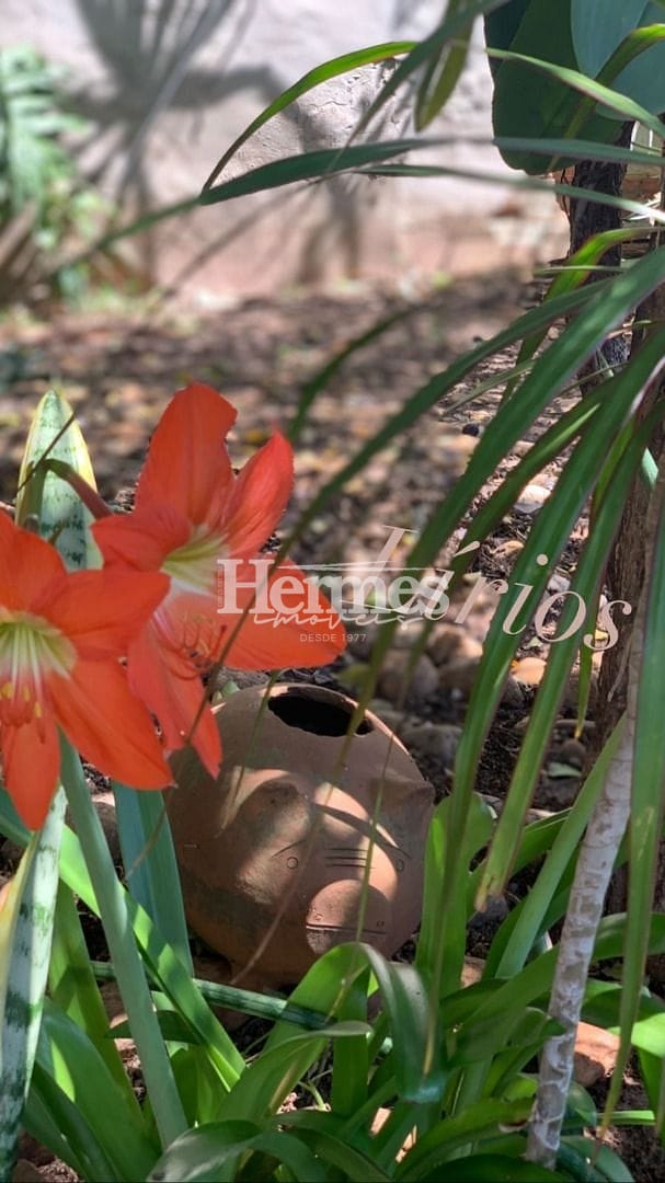 Casa, 3 quartos, 600 m² - Foto 15