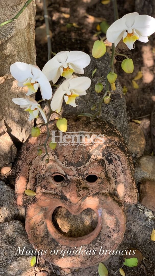 Casa, 3 quartos, 600 m² - Foto 13