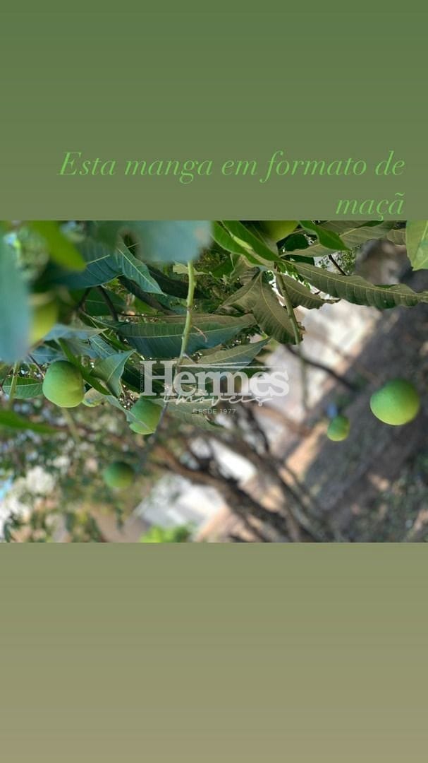 Casa, 3 quartos, 600 m² - Foto 16