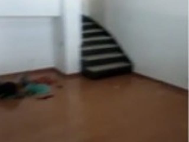 Casa 2 quartos e 1 banheiro, à venda, no bairro Rio Pequeno em São Paulo