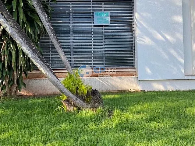 Casa com 476m², à venda, no bairro Vila Ipiranga em Londrina