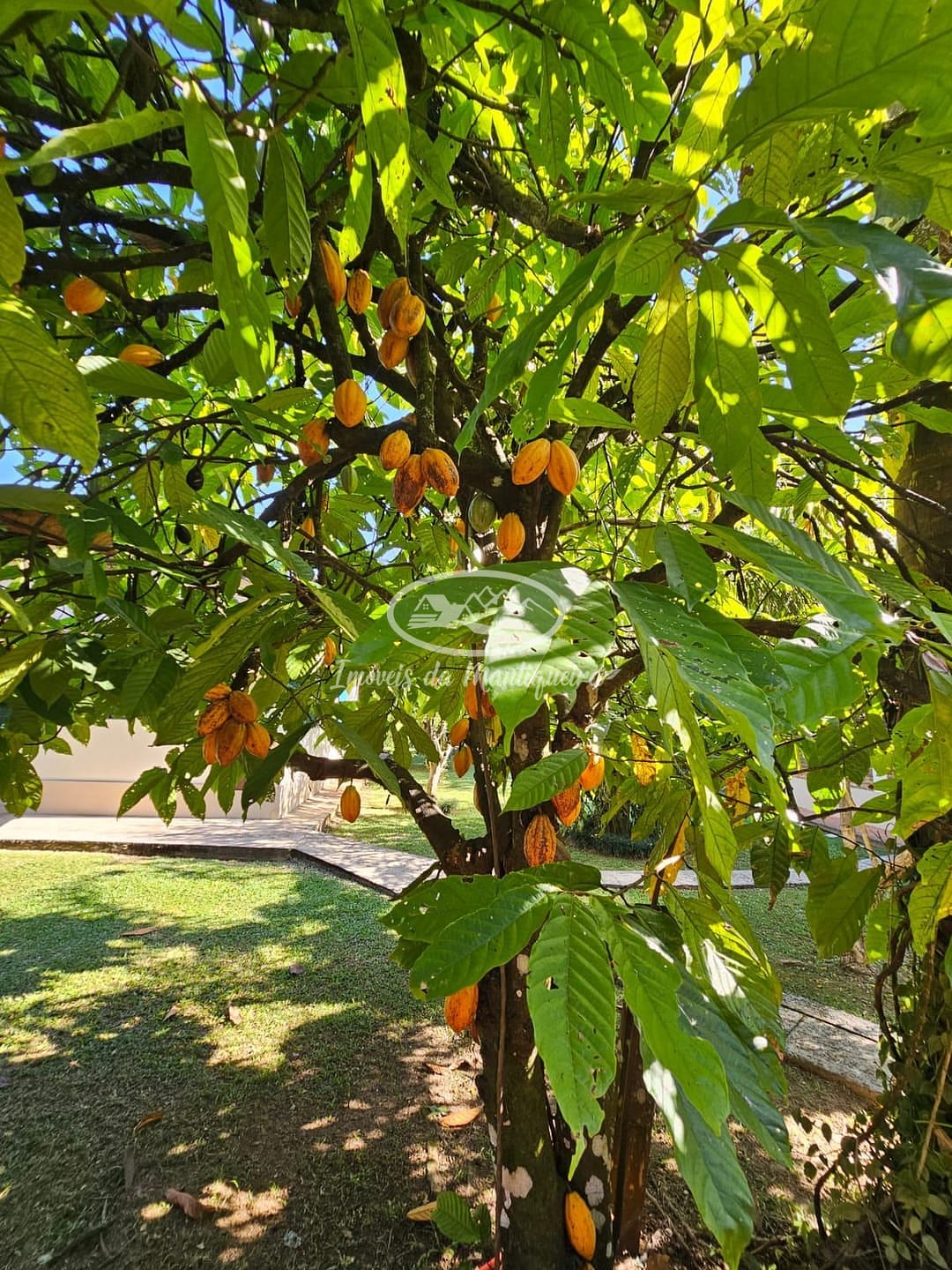 Casa, 6 quartos, 268 m² - Foto 49