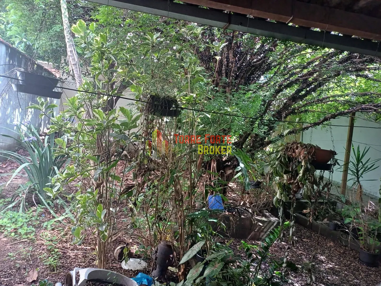Casa, 2 quartos, 50 m² - Foto 30