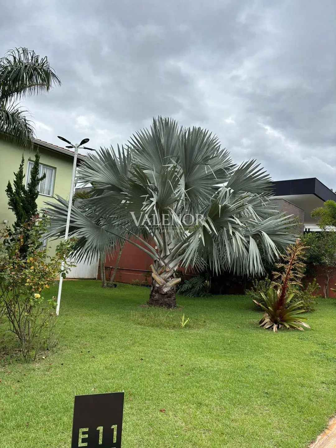 Casa, 3 quartos, 1010 m² - Foto 6