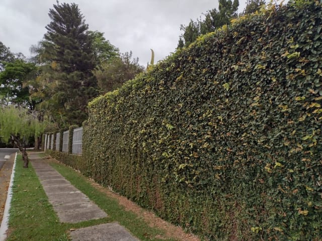 Foto do Casa - Casa com 3 dormitórios à venda, 518 m² por R$ 1.000.000,00 - Res Eldorado - Tremembé/SP | Venter imoveis