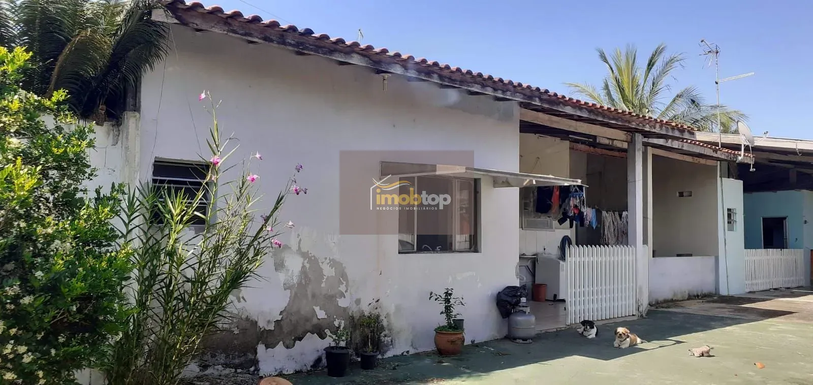 Casa, 1 quarto, 1165 m² - Foto 19