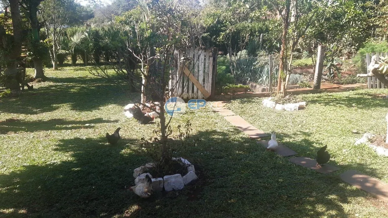 Casa, 4 quartos, 465 m² - Foto 26