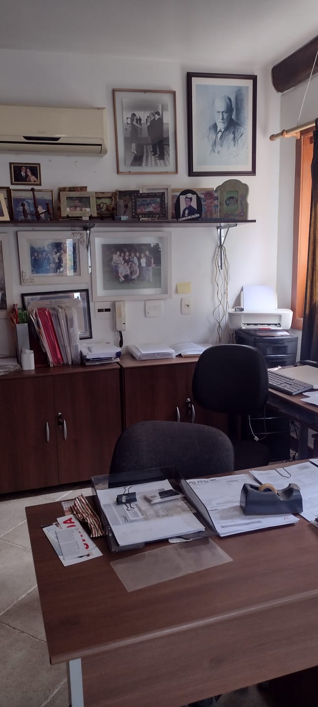 Casa, 4 quartos, 400 m² - Foto 32