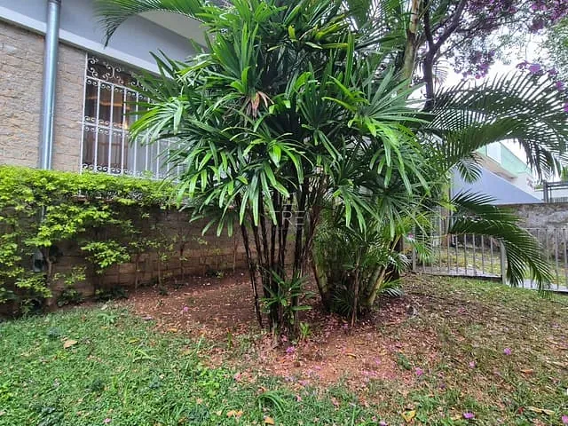 Casa com 455m² 4 quartos e 4 banheiros, à venda, no bairro Jardim Guanabara em Campinas