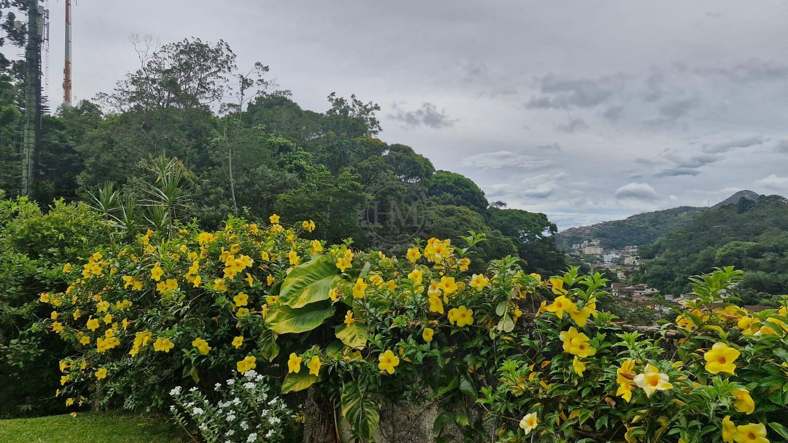 Casa, 5 quartos, 840 m² - Foto 65