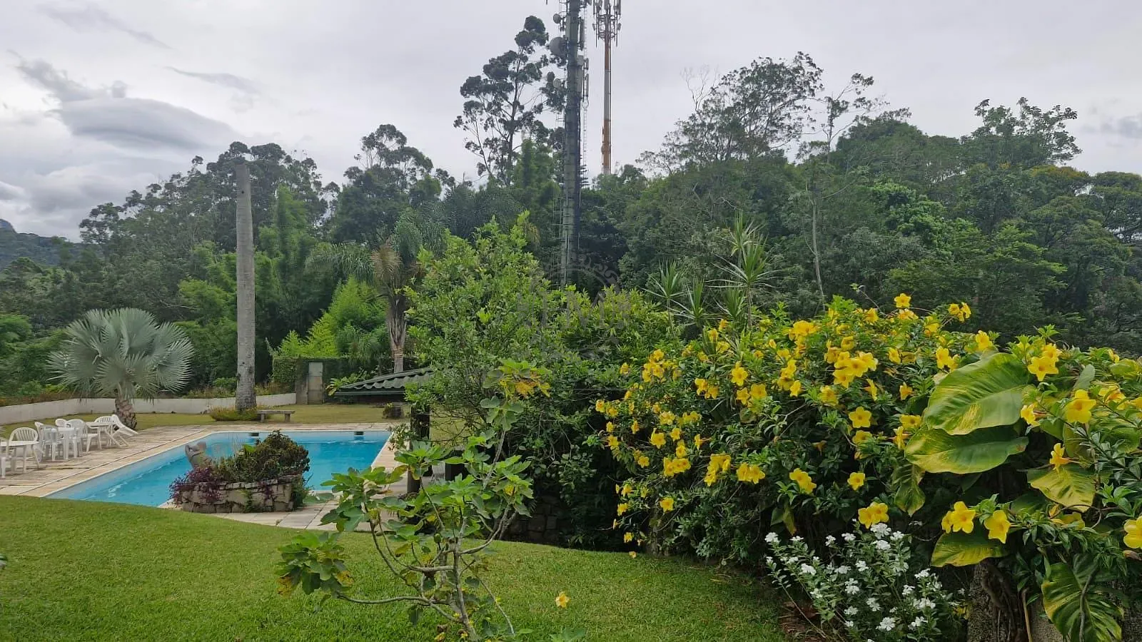 Casa, 5 quartos, 840 m² - Foto 64