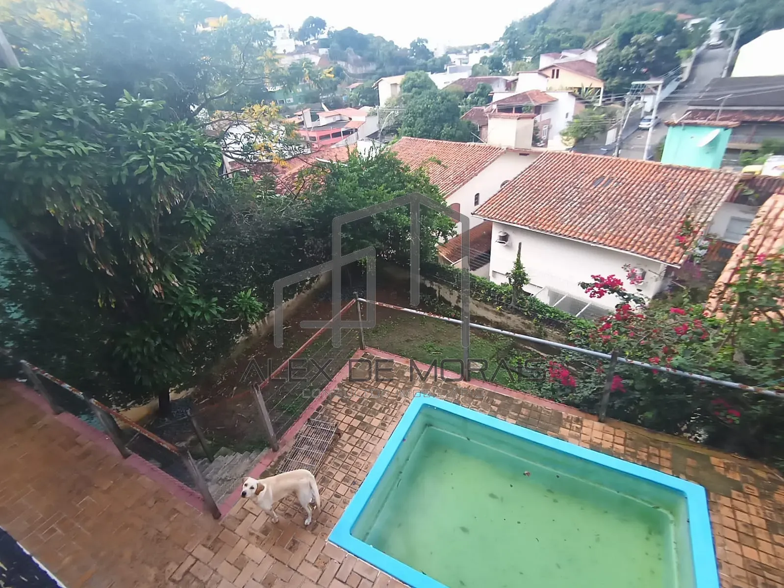 Casa, 4 quartos, 380 m² - Foto 29