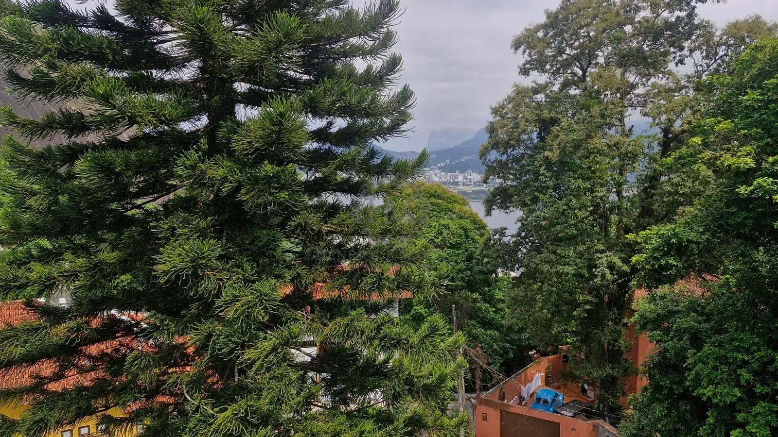 Casa, 6 quartos, 354 m² - Foto 49