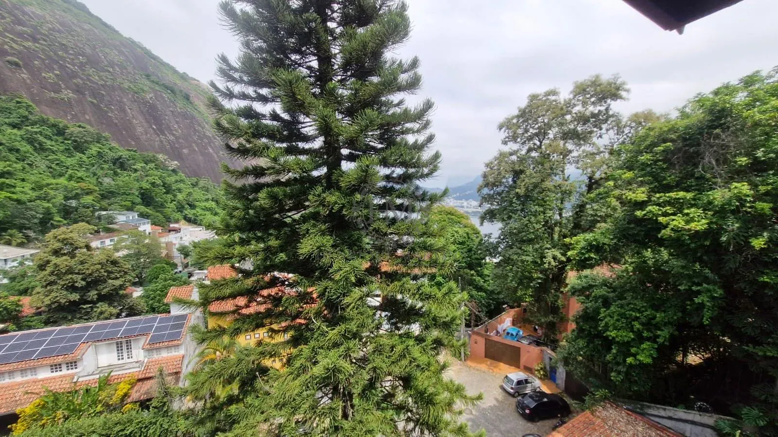 Casa, 6 quartos, 354 m² - Foto 52