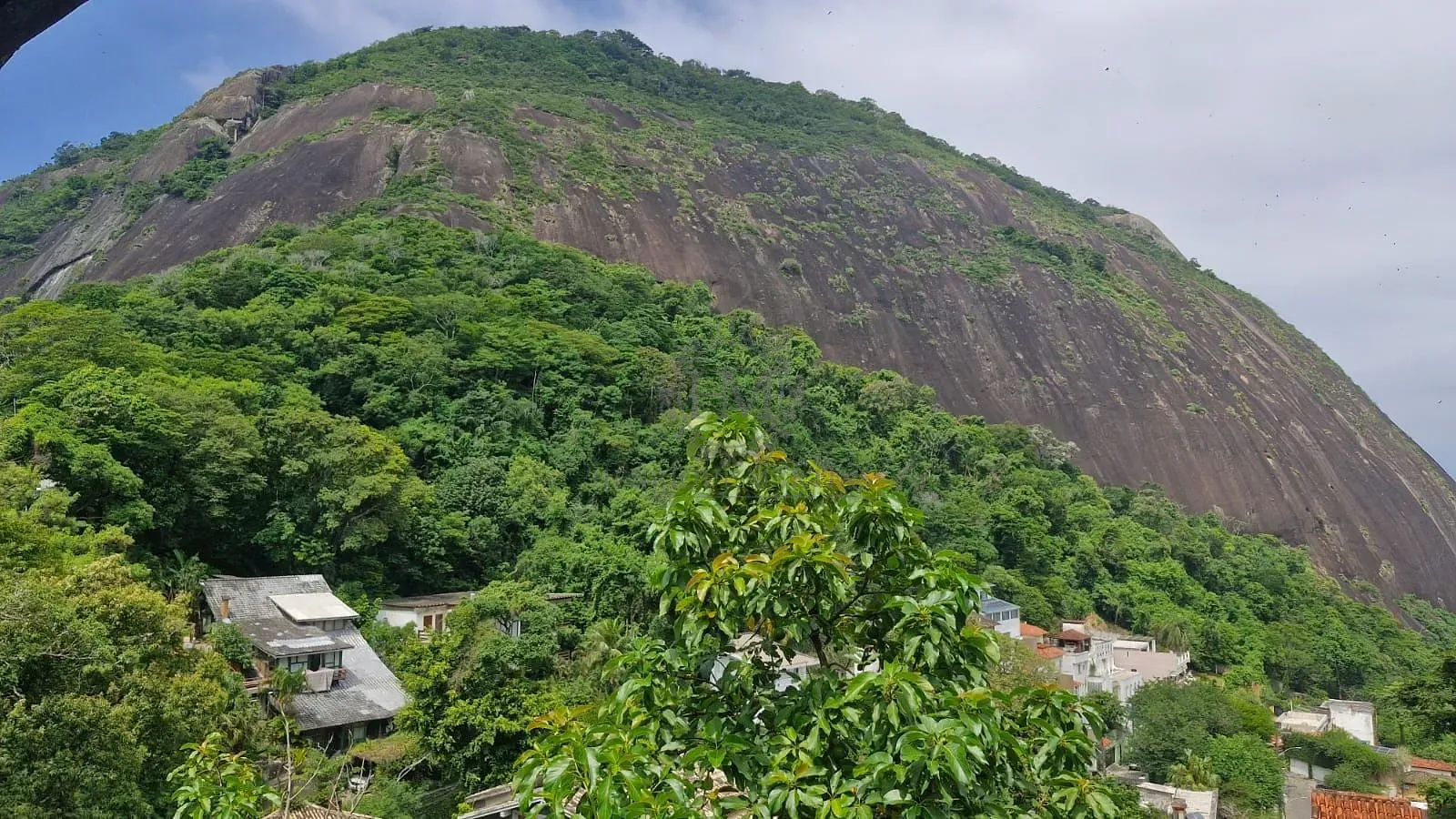Casa, 6 quartos, 354 m² - Foto 55