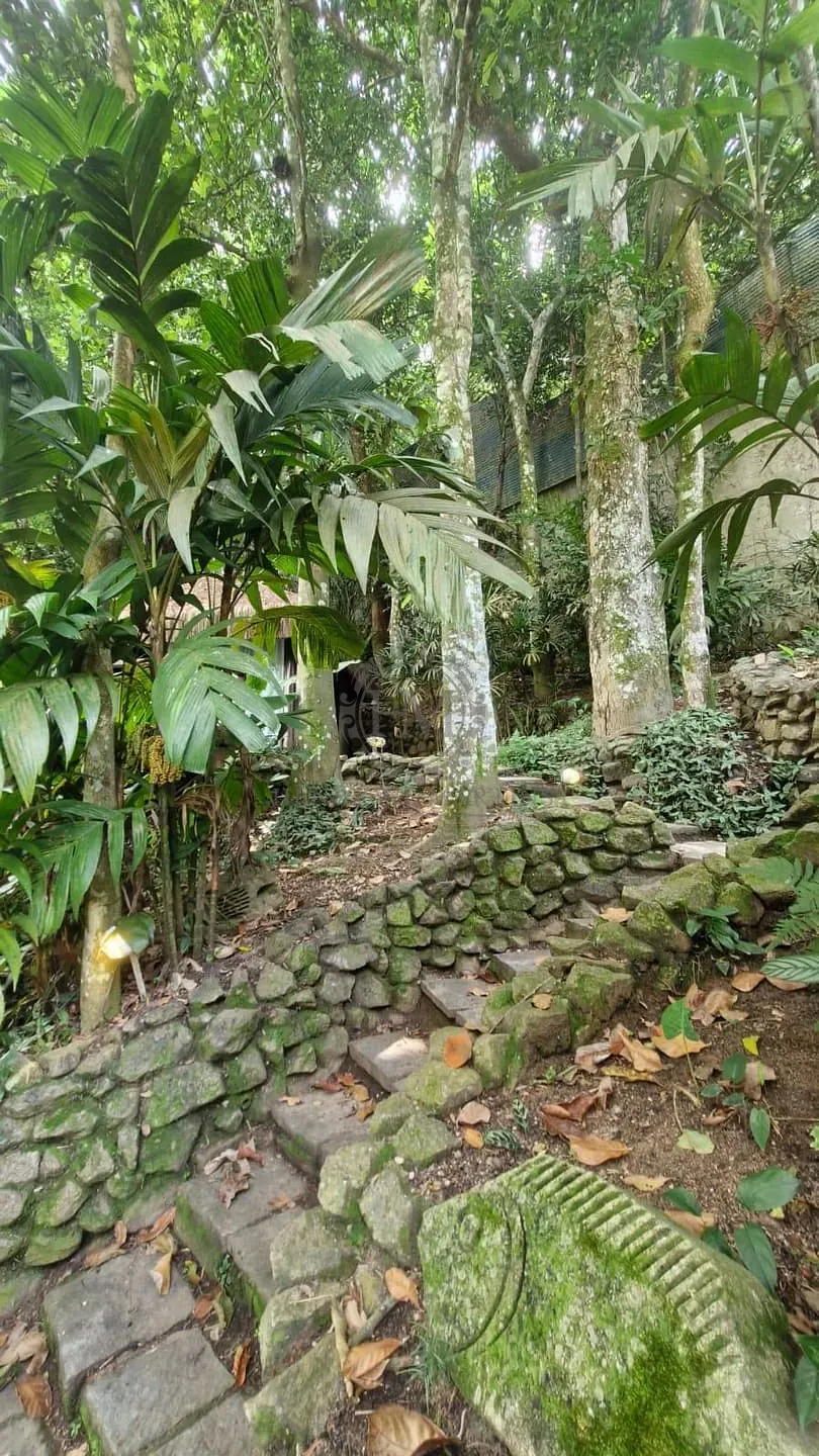 Casa, 6 quartos, 354 m² - Foto 70