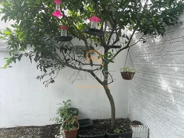 Casa com 85m² 3 quartos e 1 banheiro, à venda, no bairro Tres Vendas em Pelotas