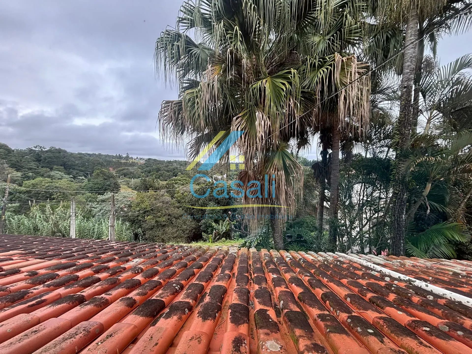 Casa, 4 quartos, 342 m² - Foto 22